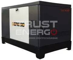 Газовый генератор Genese Pro 17000 Neva кожухе с АВР