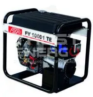 Бензиновый генератор Fogo FV10001TE